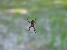 img 5586-800