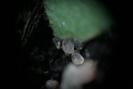 img 0101-1024