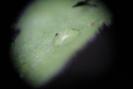 img 0107-1024