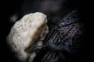 img 0121-1024