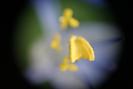 img 0163-1024