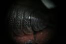 img 0191-1024