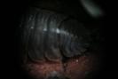 img 0194-1024