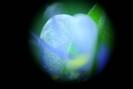 img 0258-1024