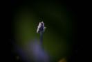 img 0342-1024