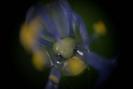 img 0343-1024
