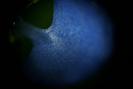 img 0346-1024