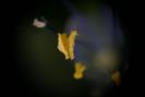 img 0351-1024
