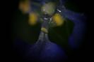 img 0358-1024