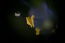 img 0371-1024