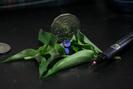 img 0424-1024